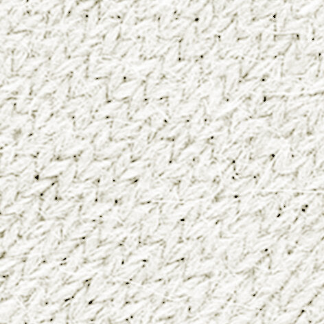 Bedsock Women House socks