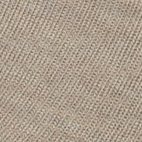 Family Women Sneaker socks