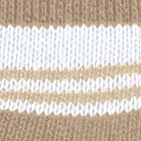 Smart Stripe Women Sneaker socks