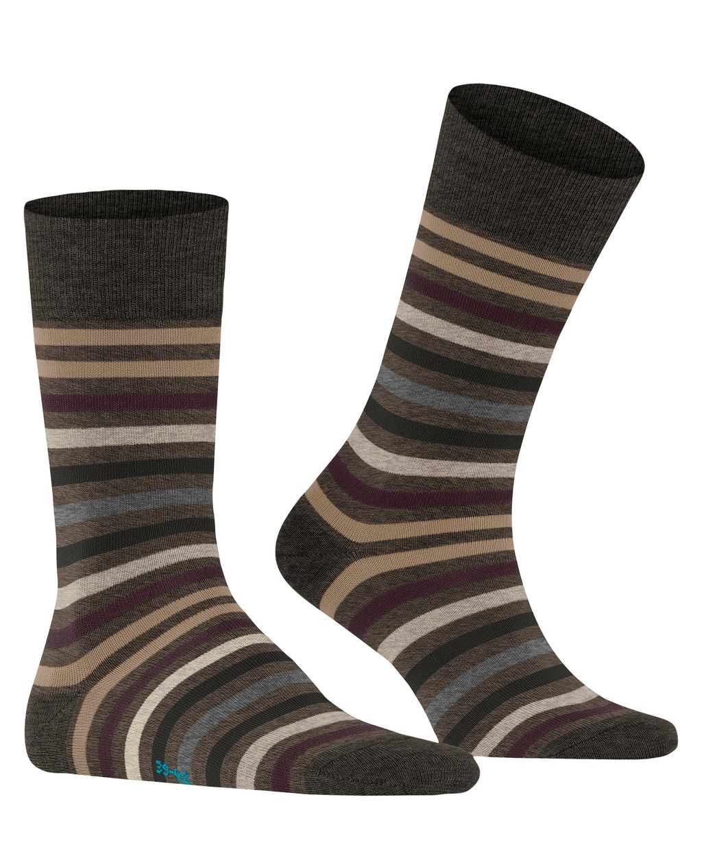 Tinted Stripe Men Socks