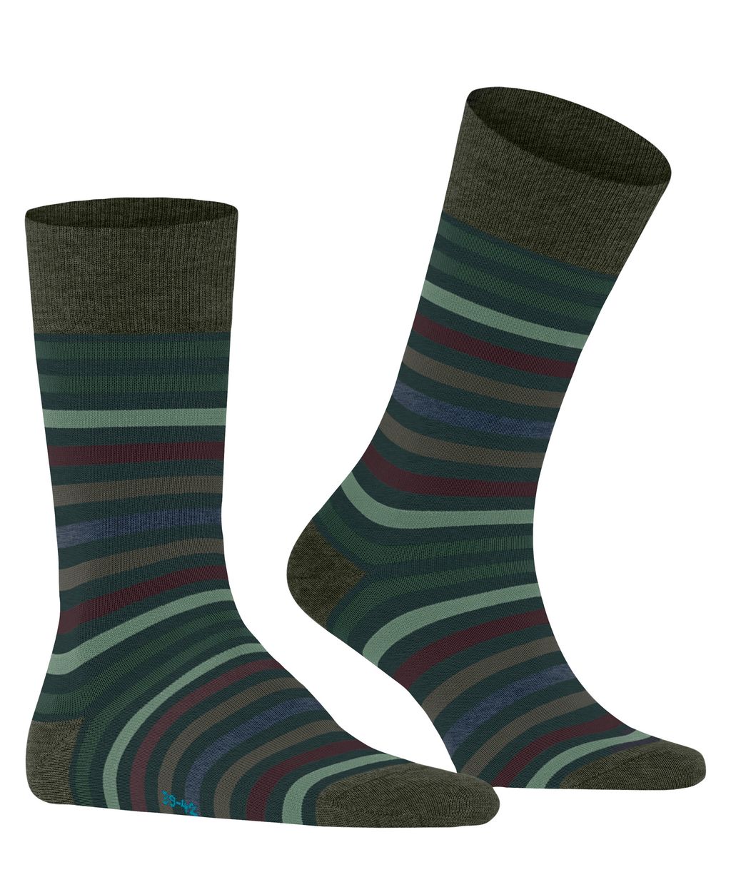 Tinted Stripe Men Socks