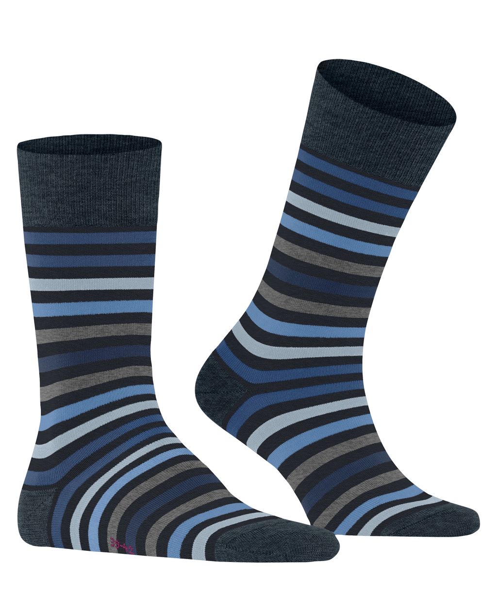 Tinted Stripe Men Socks