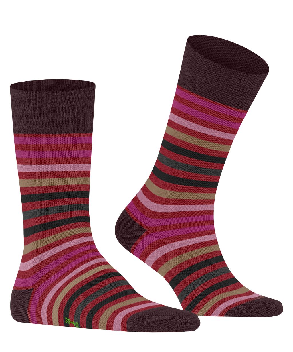 Tinted Stripe Men Socks