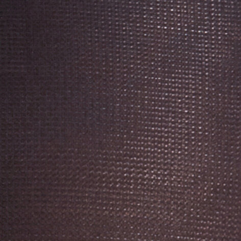 Shelina 12 DEN Women Knee-high Socks