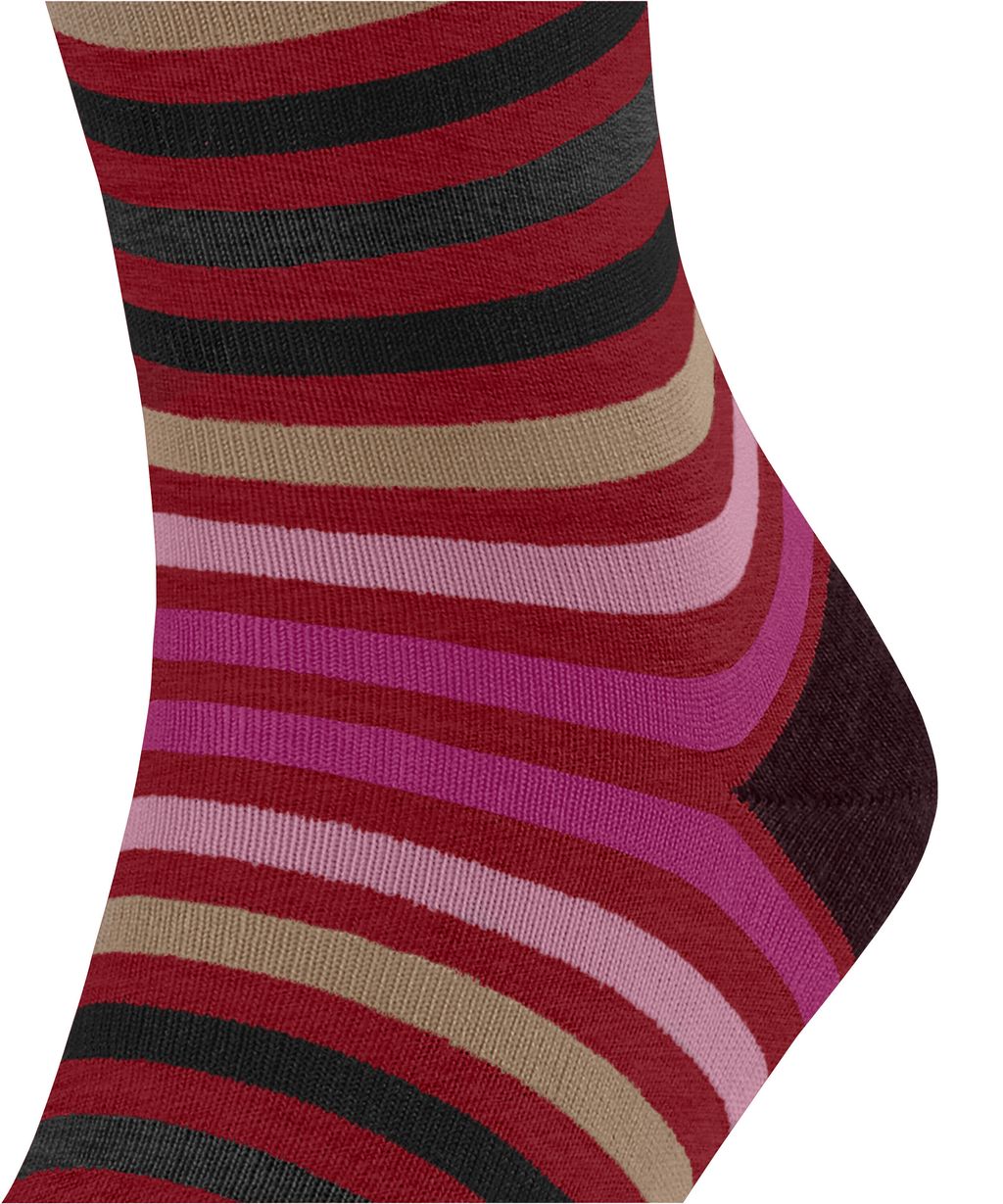 Tinted Stripe Men Socks
