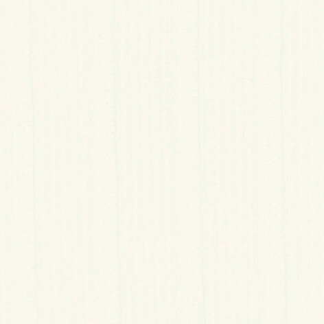 Cotton Rib Women Socks