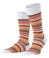 10600538767653
